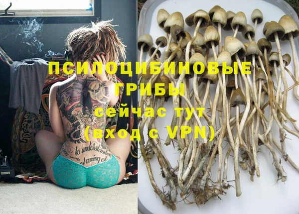 бошки Абинск