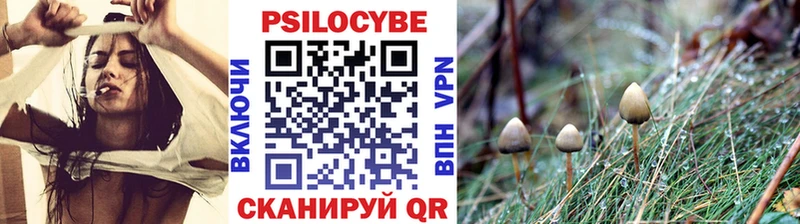 купить закладку Орск KRAKEN маркетплейс Псилоцибиновые грибы мицелий